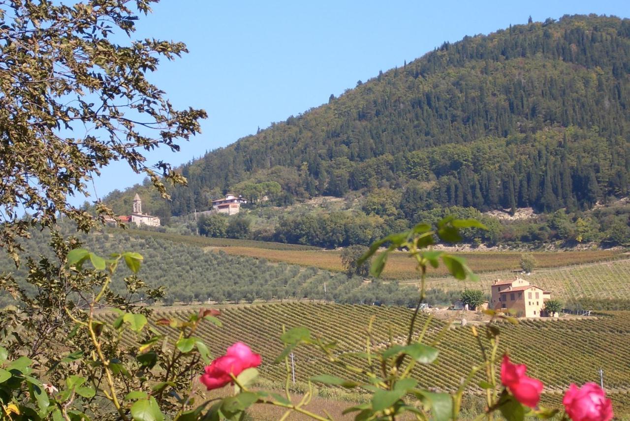 I Veroni - Agriturismo And Wine Cellar Pontassieve Exterior photo