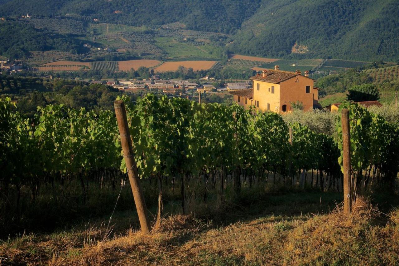 I Veroni - Agriturismo And Wine Cellar Pontassieve Exterior photo